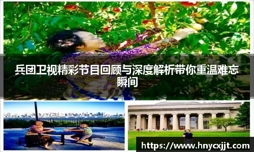 兵团卫视精彩节目回顾与深度解析带你重温难忘瞬间