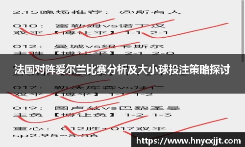 法国对阵爱尔兰比赛分析及大小球投注策略探讨